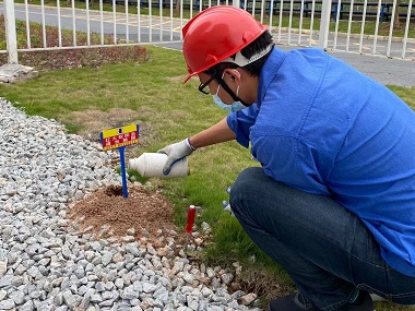 高明红火蚁防治站:工业园区发现红火蚁怎么办?