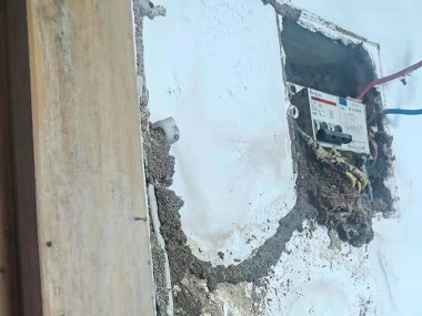 顺德验收白蚁中心灭治房屋建筑中白蚁的对策