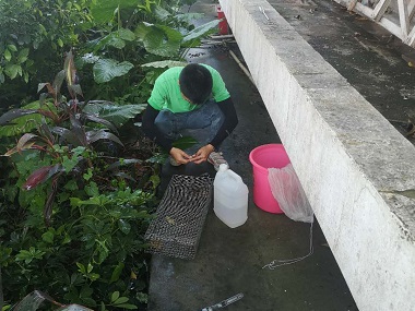 南海病媒生物防控机构毒蛇与无毒蛇的区别